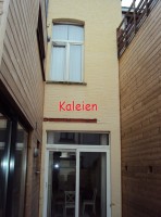 kaleien.png